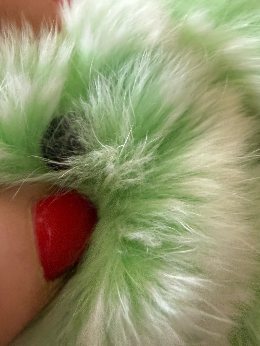 Plush Green Bunny Lulu - Picture 3 of 8